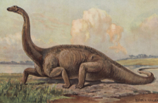 the worst dinosaur.png