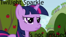 twilight_sparkle_is_not_amused_by_rabbidry-d3astmh.jpg