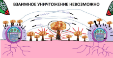 6iceT8uHlKjsehb1LsDl8A0dxRTLIeh7jC_kn5HhXCd9US2SmsisPDDsUtC4SNhTfhuFJg3b4D89AXEq8-iyG1EO.jpg