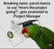 breakingnews-v0-tgwbbdu6ni7d1.png