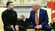 zfsdg.gif