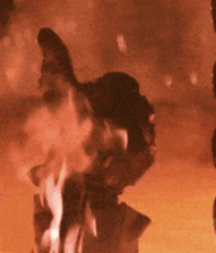 200.gif