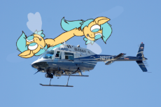 helilegs.png