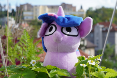 7221903__safe_derpibooru+exclusive_imported+from+derpibooru_photographer-colon-alkel+u3_twilight+sparkle_pony_unicorn_horn_irl_photo_plushie_squatpony_twiggie_u.jpg