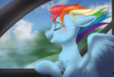 2546590__safe_artist-colon-taytinabelle_rainbow+dash_pegasus_pony_behaving+like+a+dog_blurred+background_blushing_car_cheek+fluff_chest+fluff_cloud_cute_dashabe.png