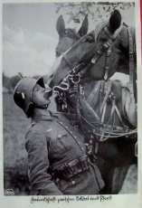 horse german soldier.jpeg