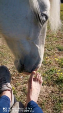 Horse Thinks Mom has Smelly Feet.mp4