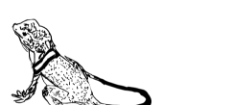 Drawing-60.sketchpad (1).png