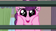 IMG_0141.png