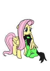 Fluttershy_Anonfilly.png