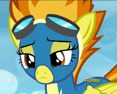 1743973897883398.gif