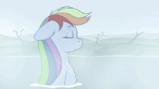 7453284.gif