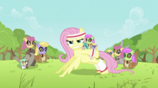 Fluttershy_Pushup_S02E22[1]-(n1341193801096).png