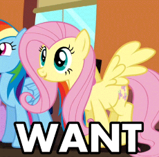 fluttershy_want_animation_….gif