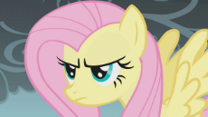 Fluttershy_Annoyed_S1E7.png