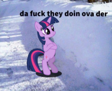 discooord.png