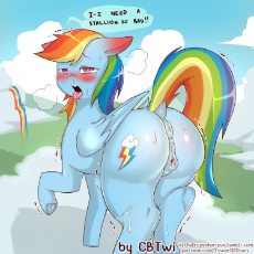 1773611__explicit_artist-colon-cold-dash-blooded-dash-twilight_rainbow dash_anatomically correct_anus_begging_blushing_blushing ears_breath_clitoris_cl.png