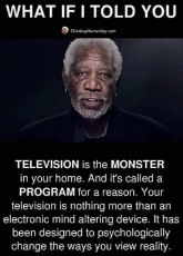 quote-television-monster-in-your-home-program-change-psychologically-way-view-reality.jpeg