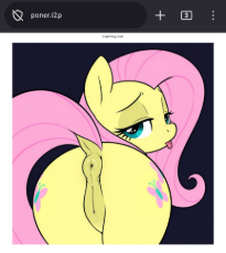 flutty.jpg