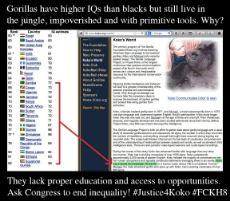 gorillas_higher_iq_blacks (tinypng.com).png