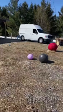 Feisty-pony-plays-ball-1742882692118.mp4