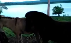 1627456769046.webm