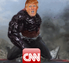 trump armstrong cnn thousand punches.gif