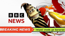 bbc.jpg
