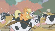 Applejack_riding_a_cow_S01E04.png