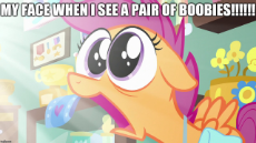 1825684.jpg