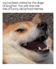 youve-been-visited-by-the-doge-of-laughter-you-will-35808196.png