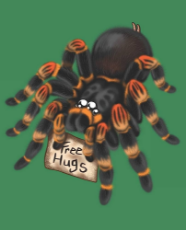 2dc74f8c.png