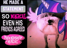 HFzxr_eWYAAsbp6.png