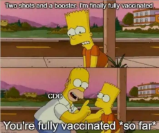 3rd-shot-fully-vaccinated-cdc-so-far-homer.jpeg