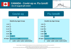 Covid-Flu stats.jpg