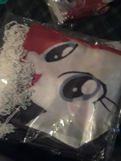 mlpolscarf .jpg