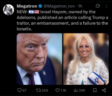 1781889223916314.jpg