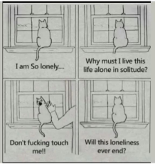 loneliness-ever-end.jpeg