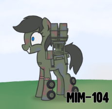 MIM-104.png