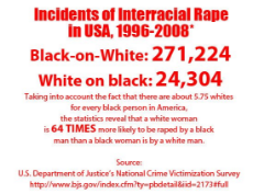 interracial_rape_statistics_2.jpg
