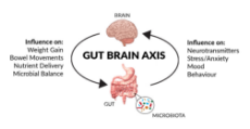 gut-brain-axis.jpg