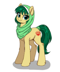 iranpony.png