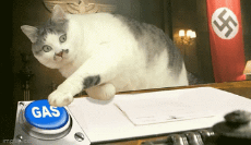 cb2969d.gif