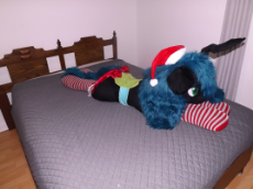 DSCF5206.JPG
