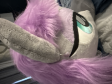 IMG_4444.jpeg