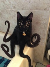 Cathulhu.jpg