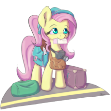 436605__safe_solo_fluttershy_cute_angel bunny_mouth hold_ponytail_shyabetes_camera_saddle bag.png