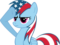 291-2911224_american-my-little-pony.png