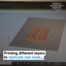 Israeli Jews Promote Fake Meat Produced From a 3D Printer at Klaus Schwabs World Economic Forum.mp4