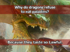 dd-meme-why-do-dragons-refuse-to-eat-paladins-they-taste-so-lawful.jpg